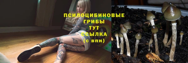 PSILOCYBIN Касимов