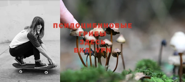 PSILOCYBIN Касимов