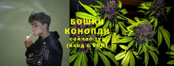 PSILOCYBIN Касимов