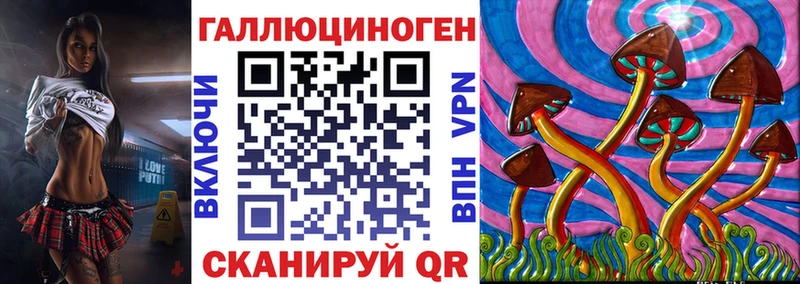 Купить где  Гусиноозёрск  Галлюциногенные грибы мицелий 
